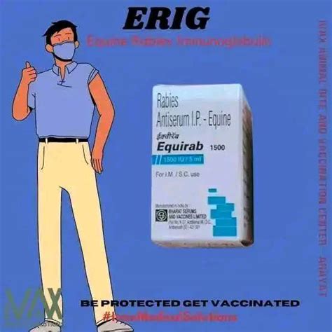 ivax animal bite and vaccination center|Rabies vaccine is given to persons who have been exposed (eg .